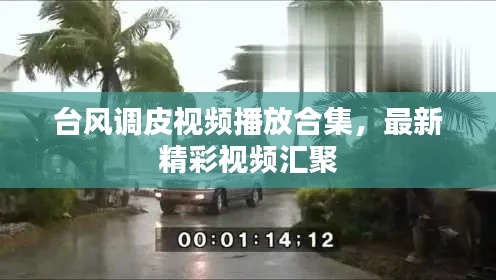 差强人意