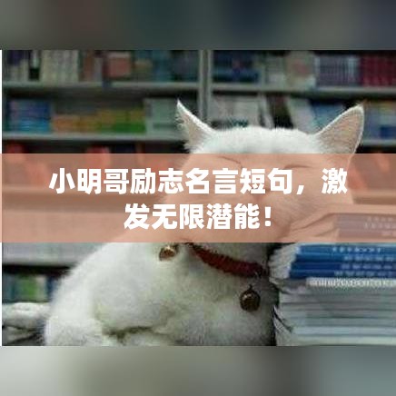 其他配件采购 第3页