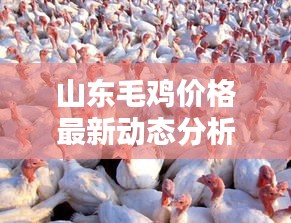 2025年6月5日 第2页