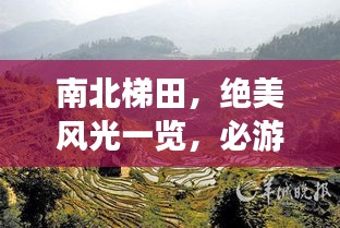 2025年6月10日 第3页