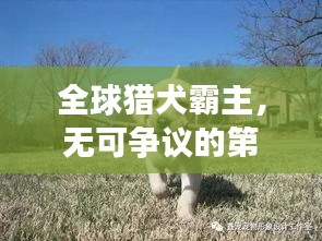 2025年6月11日 第3页